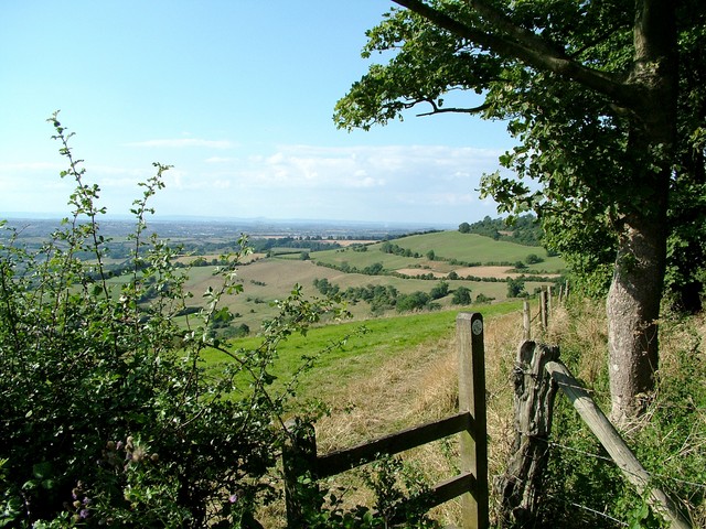 View from Kelston Roundhill, Nr Bath